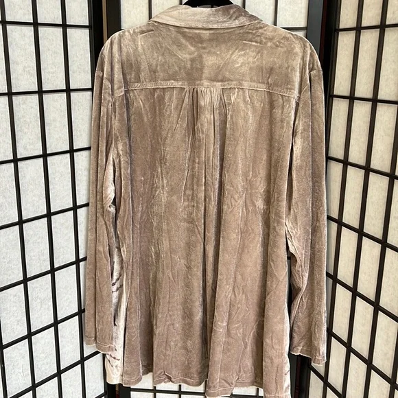 NWOT Parsley & Sage Velvet Top Floral Embroidered Boho Button Down Taupe - Picture 6 of 6